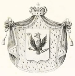 Герб дворянского рода Ильиных (Рюриковичей)